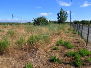 Terreno para Venda em Loule (São Sebastião)