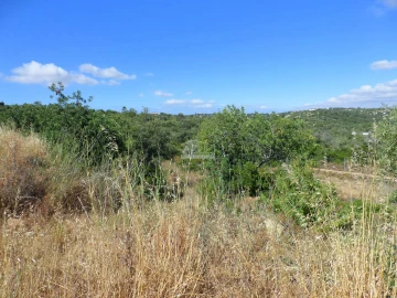 Terreno para Venda em Loule (São Sebastião)