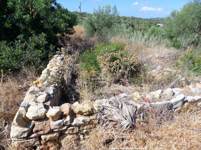 Terreno para Venda em Loule (São Sebastião) Foto 4