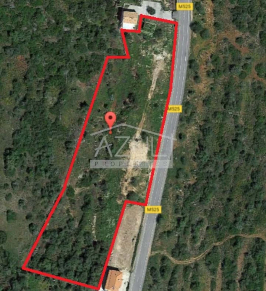 Terreno para Venda em Loule (São Sebastião) Foto 9