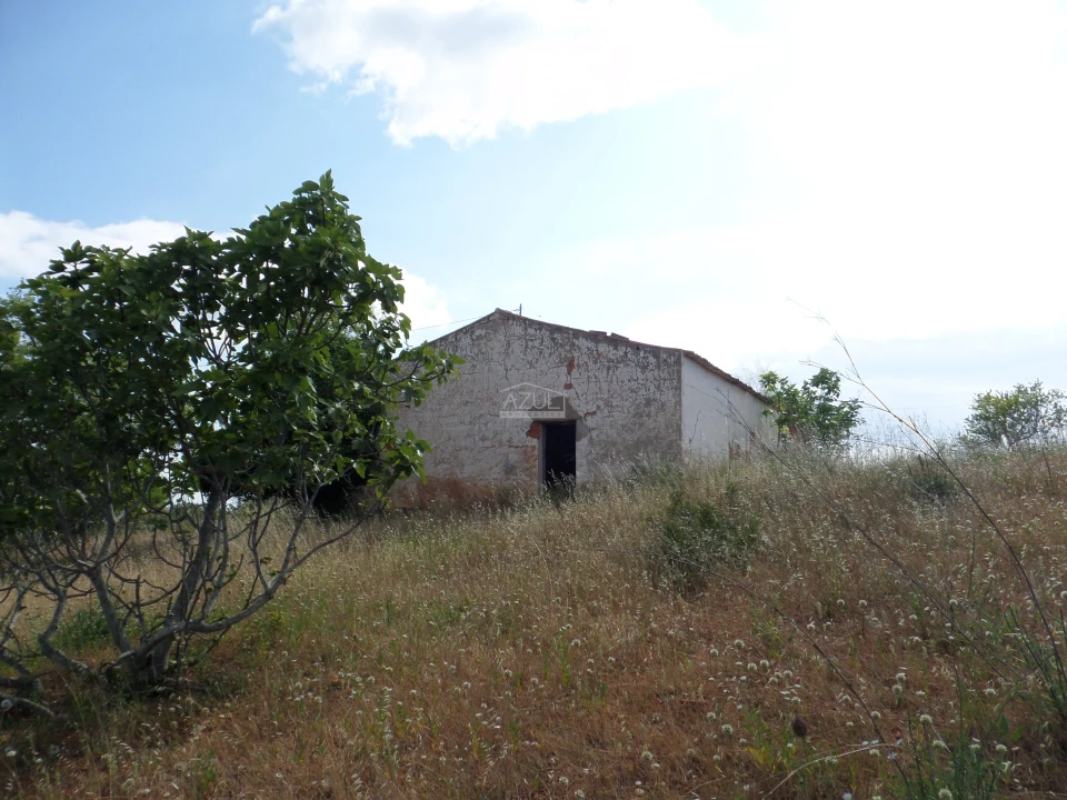 Terreno para Venda em Guia Foto 2
