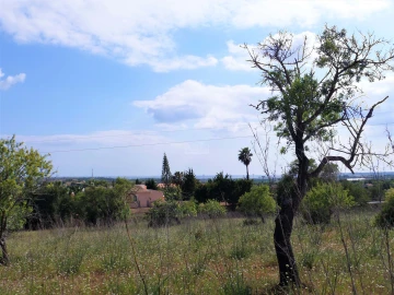 Terreno para Venda em Guia