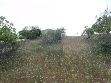 Terreno para Venda em Guia