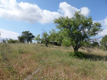 Terreno para Venda em Guia