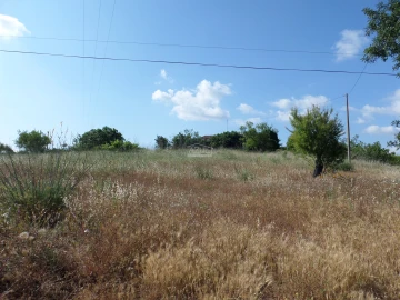 Terreno para Venda em Guia