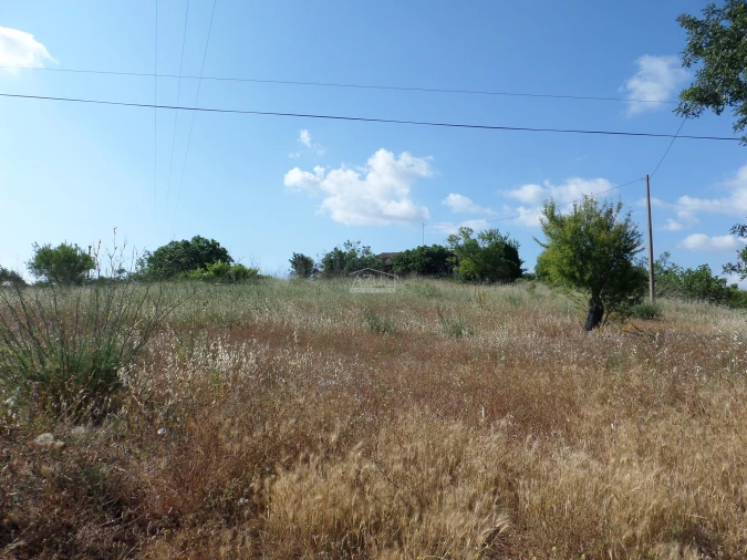 Terreno para Venda em Guia Foto 13