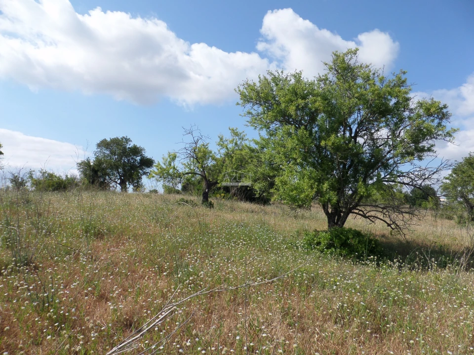Terreno para Venda em Guia Foto 5