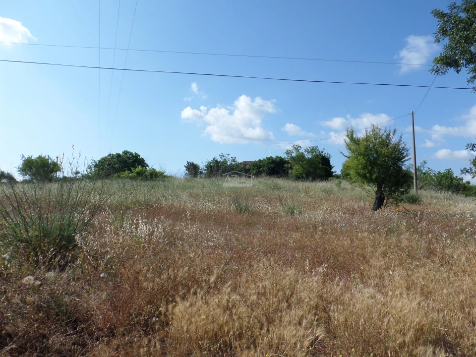 Terreno para Venda em Guia Foto 13