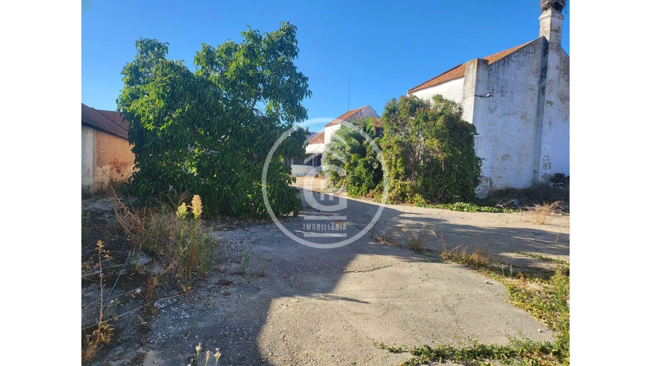 Negócio para Venda em Alpiarça Foto 4