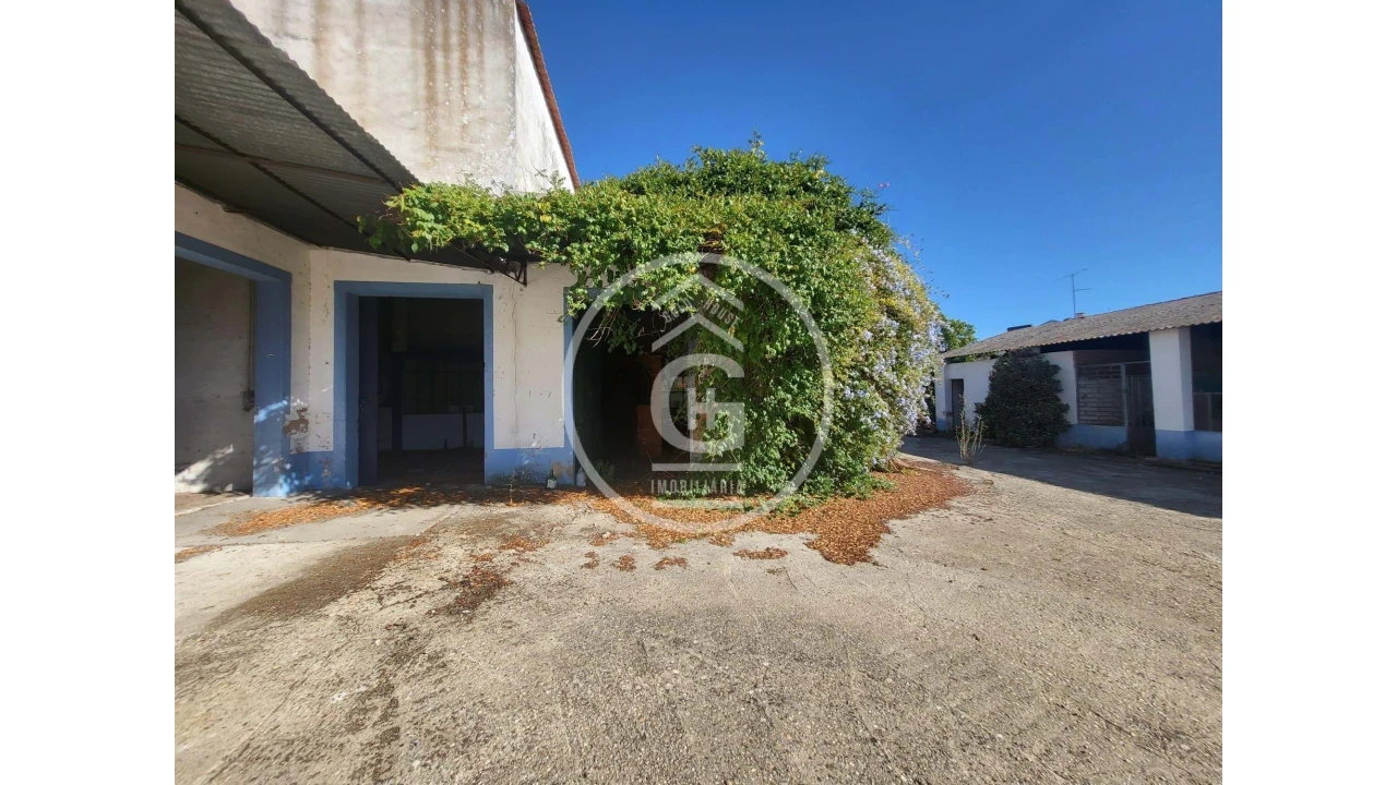 Negócio para Venda em Alpiarça Foto 33