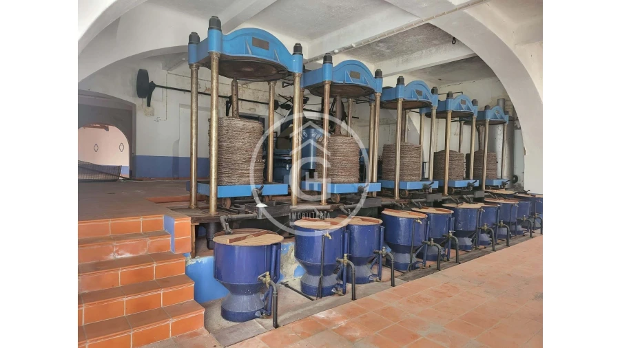 Negócio para Venda em Alpiarça Foto 49