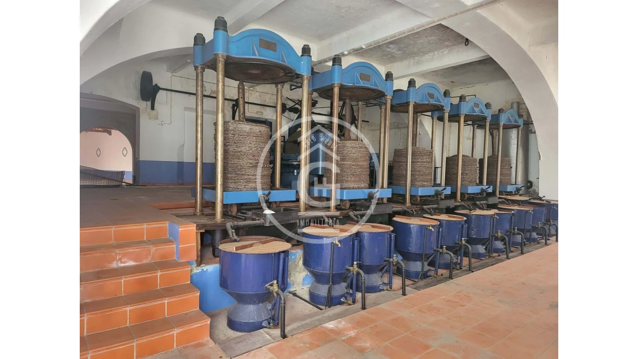 Negócio para Venda em Alpiarça Foto 49