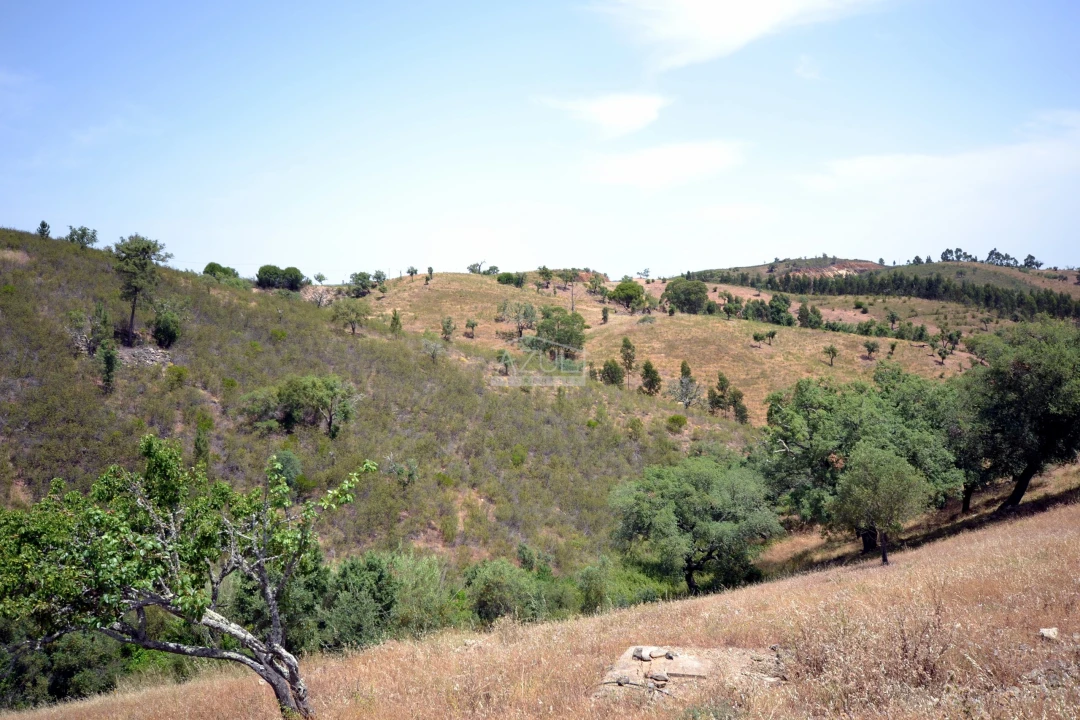Terreno para Venda em Salir Foto 5