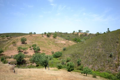 Terreno para Venda em Salir