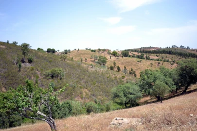 Terreno para Venda em Salir