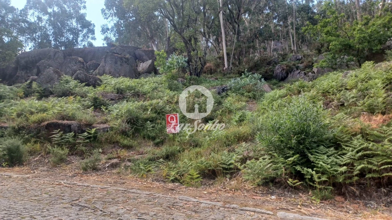 Terreno Agricola ou Rústico para Venda em Oliveira (São Mateus) Foto 2