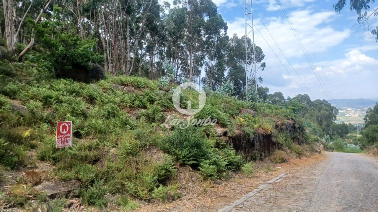 Terreno Agricola ou Rústico para Venda em Oliveira (São Mateus) Foto 3