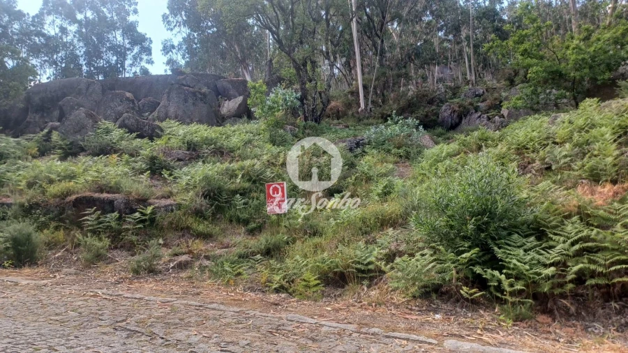 Terreno Agricola ou Rústico para Venda em Oliveira (São Mateus) Foto 2