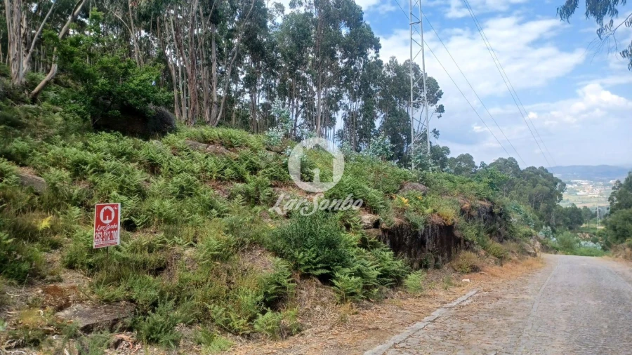 Terreno Agricola ou Rústico para Venda em Oliveira (São Mateus) Foto 3