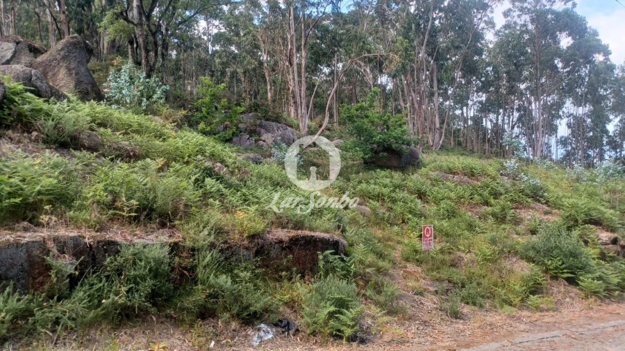 Terreno Agricola ou Rústico para Venda em Oliveira (São Mateus)