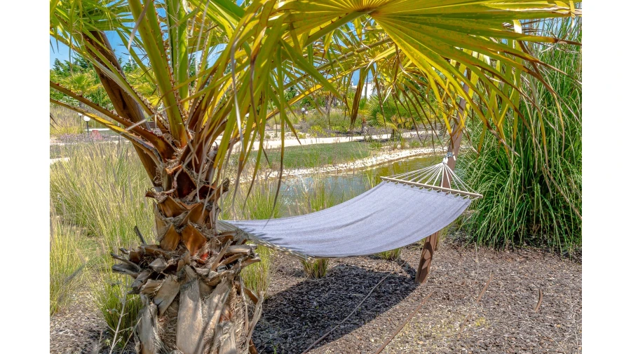 Negócio para Venda em Luz Foto 14