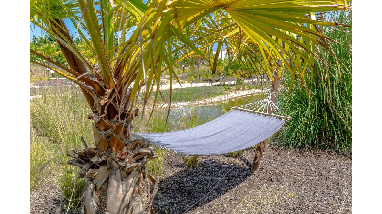Negócio para Venda em Luz Foto 13