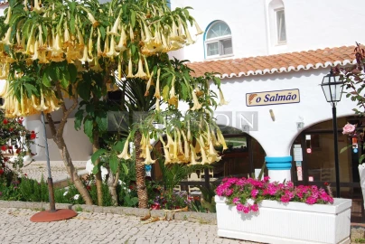 Negócio para Venda em Lagoa e Carvoeiro