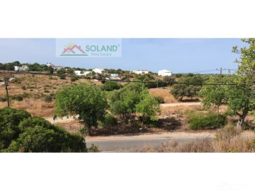 Terreno para Venda em Almancil