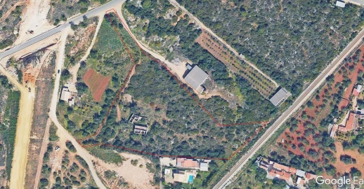 Terreno para Venda em Almancil
