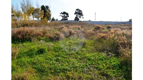 Terreno para Venda em Lagos (São Sebastião e Santa Maria)