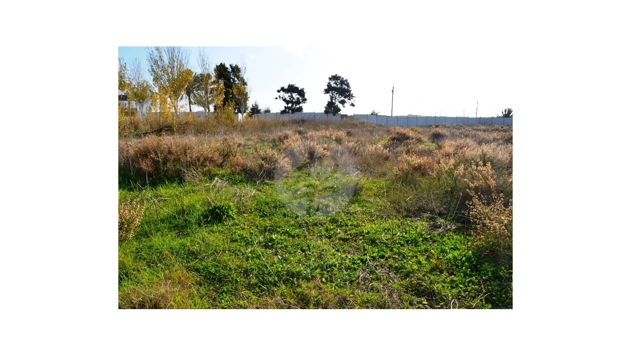 Terreno para Venda em Lagos (São Sebastião e Santa Maria) Foto 1