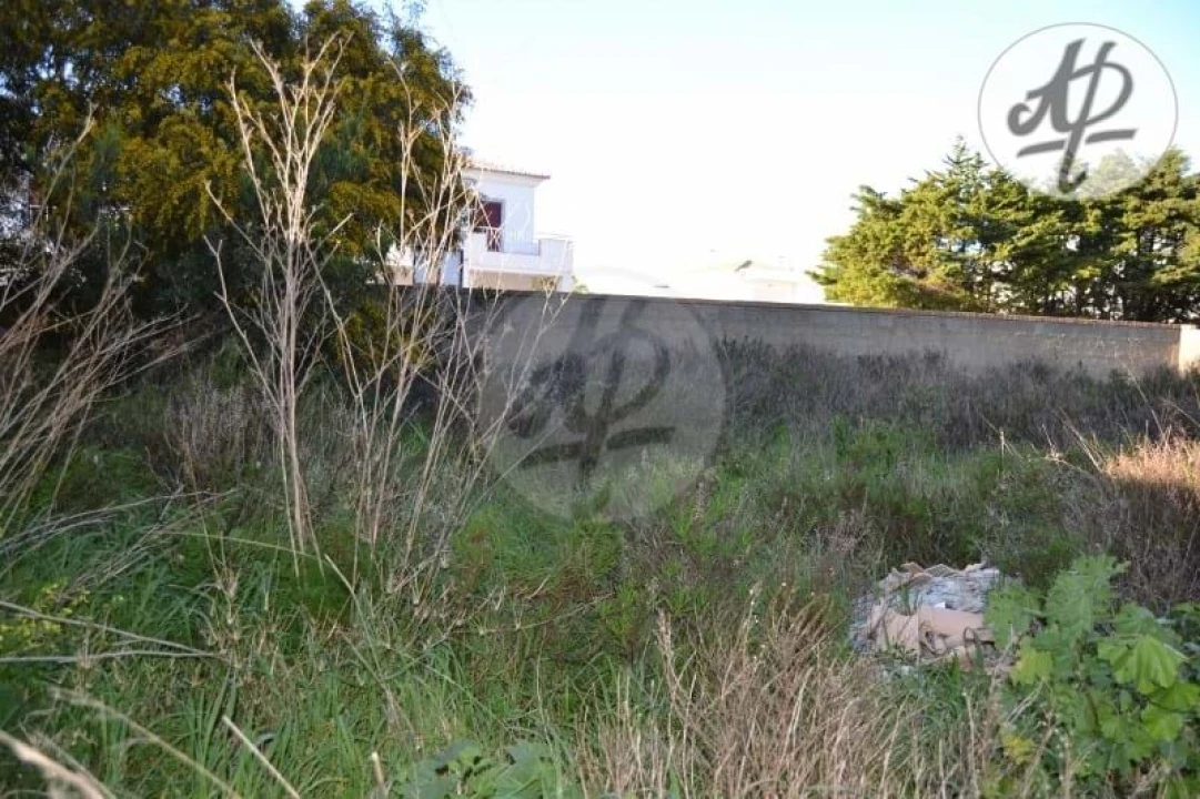 Terreno para Venda em Lagos (São Sebastião e Santa Maria) Foto 7