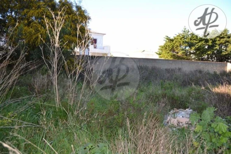 Terreno para Venda em Lagos (São Sebastião e Santa Maria) Foto 7