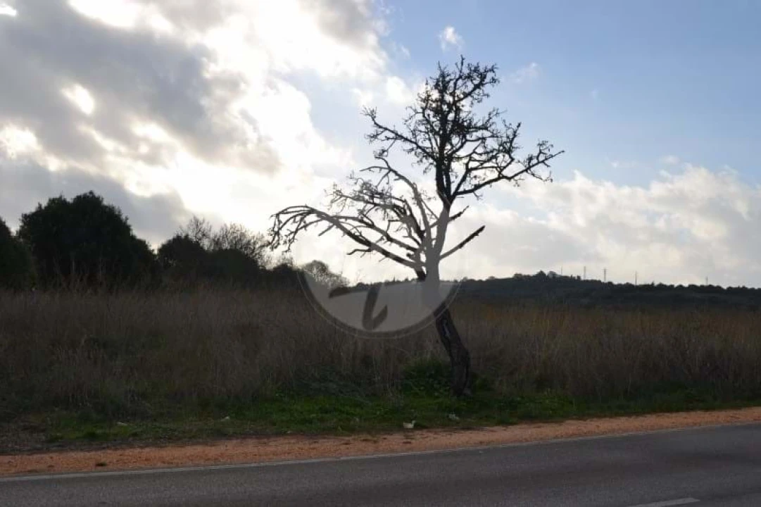 Terreno para Venda em Lagos (São Sebastião e Santa Maria) Foto 13