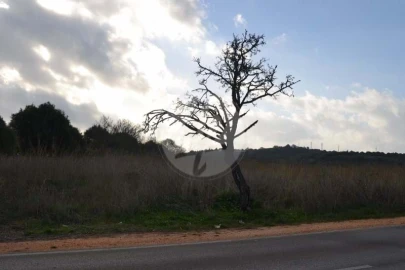 Terreno para Venda em Lagos (São Sebastião e Santa Maria)