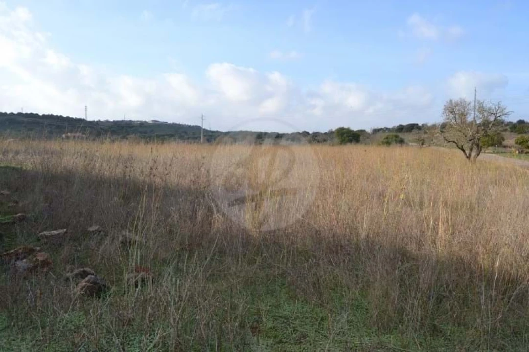 Terreno para Venda em Lagos (São Sebastião e Santa Maria) Foto 4
