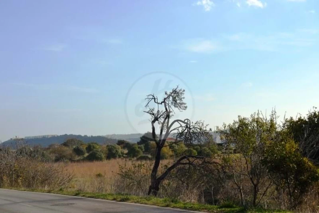 Terreno para Venda em Lagos (São Sebastião e Santa Maria) Foto 15