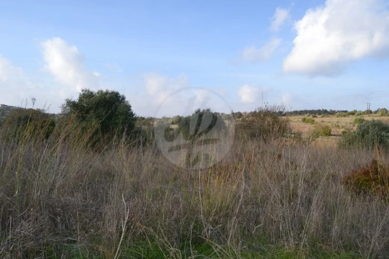 Terreno para Venda em Lagos (São Sebastião e Santa Maria) Foto 10