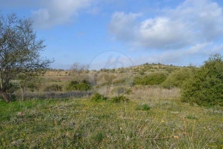 Terreno para Venda em Lagos (São Sebastião e Santa Maria) Foto 5