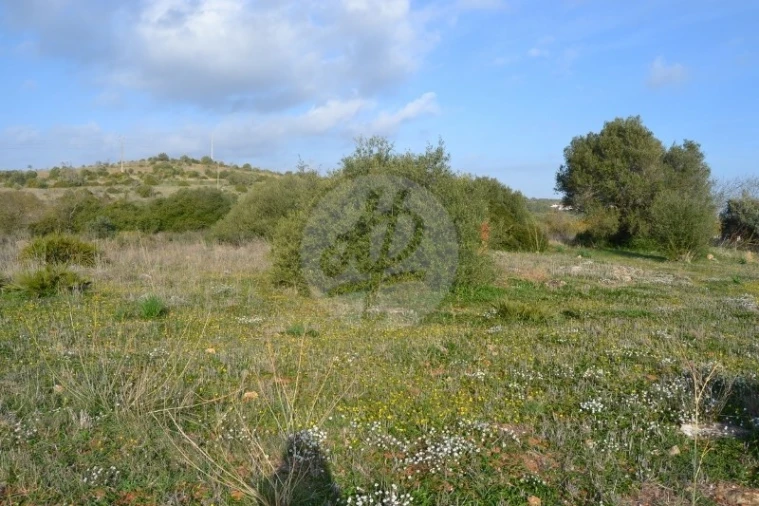 Terreno para Venda em Lagos (São Sebastião e Santa Maria) Foto 3