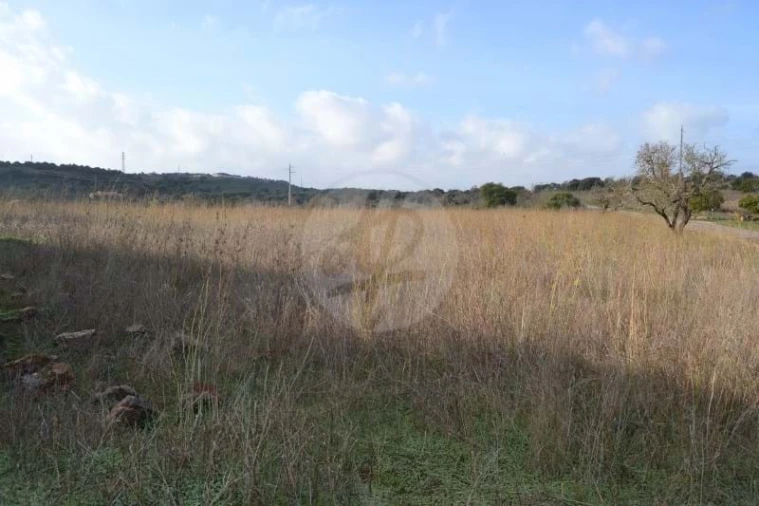 Terreno para Venda em Lagos (São Sebastião e Santa Maria) Foto 4
