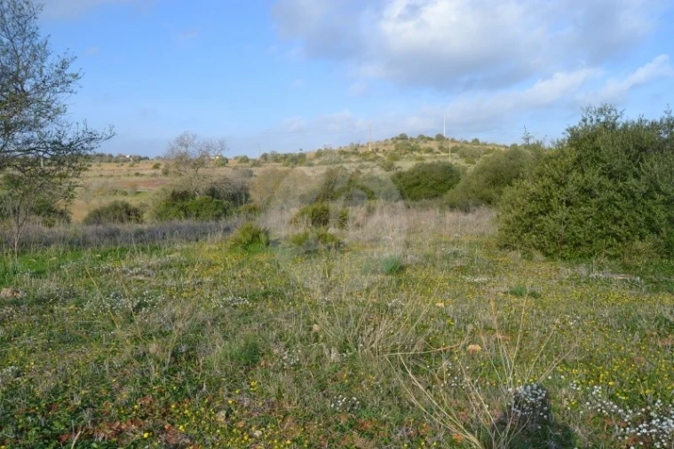 Terreno para Venda em Lagos (São Sebastião e Santa Maria) Foto 2