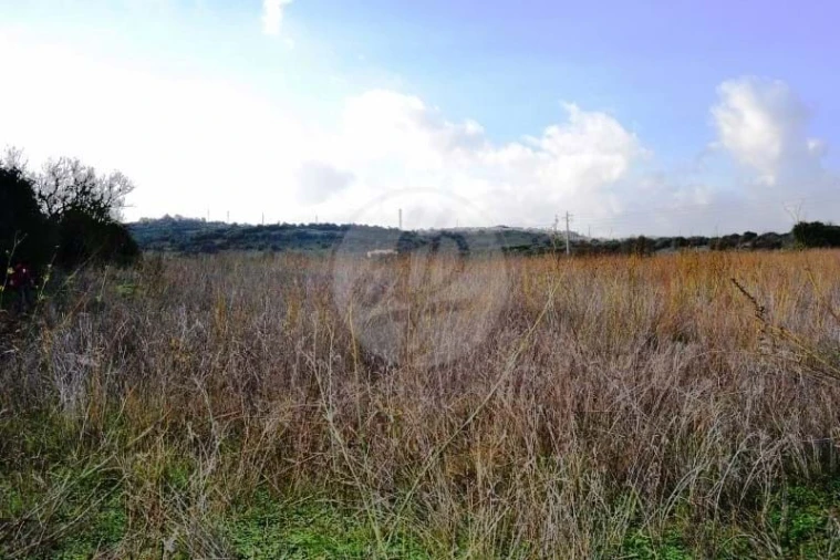 Terreno para Venda em Lagos (São Sebastião e Santa Maria) Foto 12