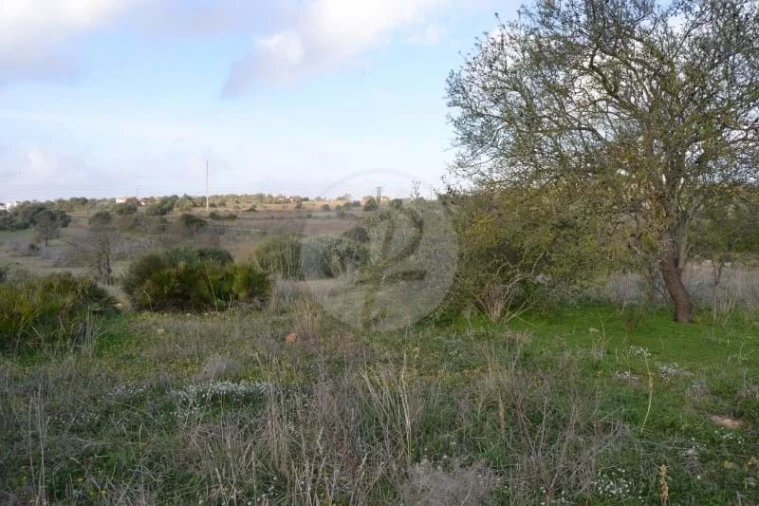 Terreno para Venda em Lagos (São Sebastião e Santa Maria) Foto 8