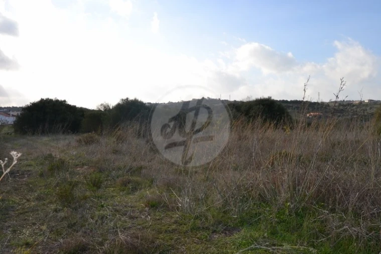 Terreno para Venda em Lagos (São Sebastião e Santa Maria) Foto 11