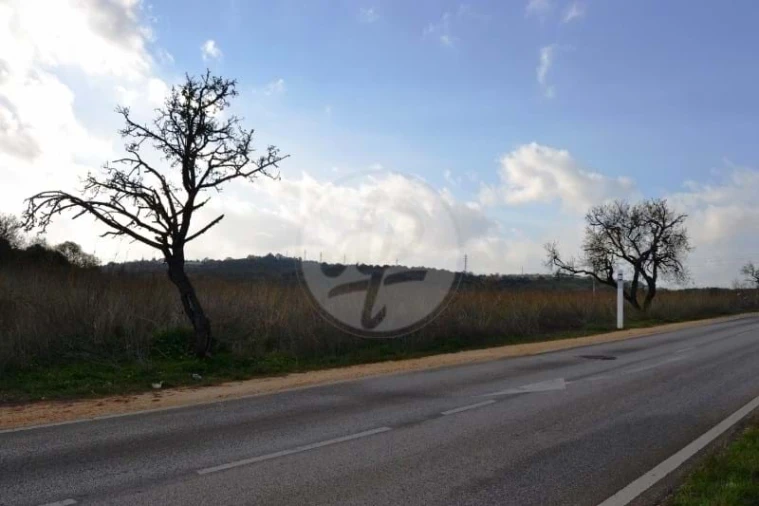 Terreno para Venda em Lagos (São Sebastião e Santa Maria) Foto 14