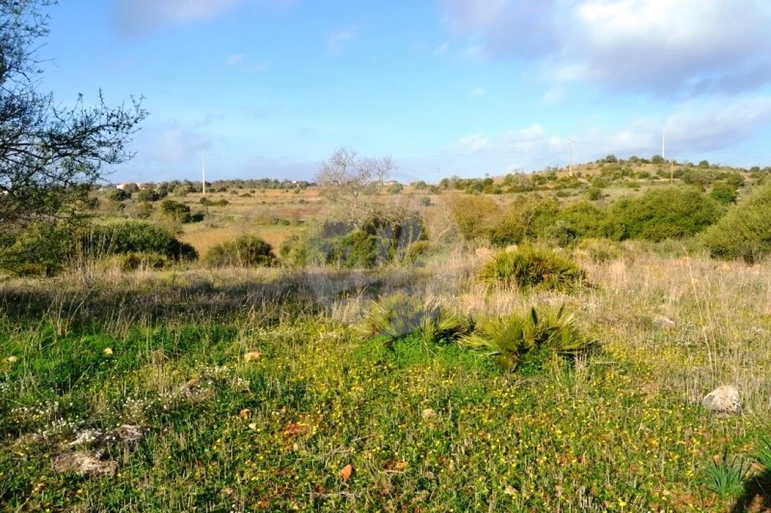 Terreno para Venda em Lagos (São Sebastião e Santa Maria) Foto 1