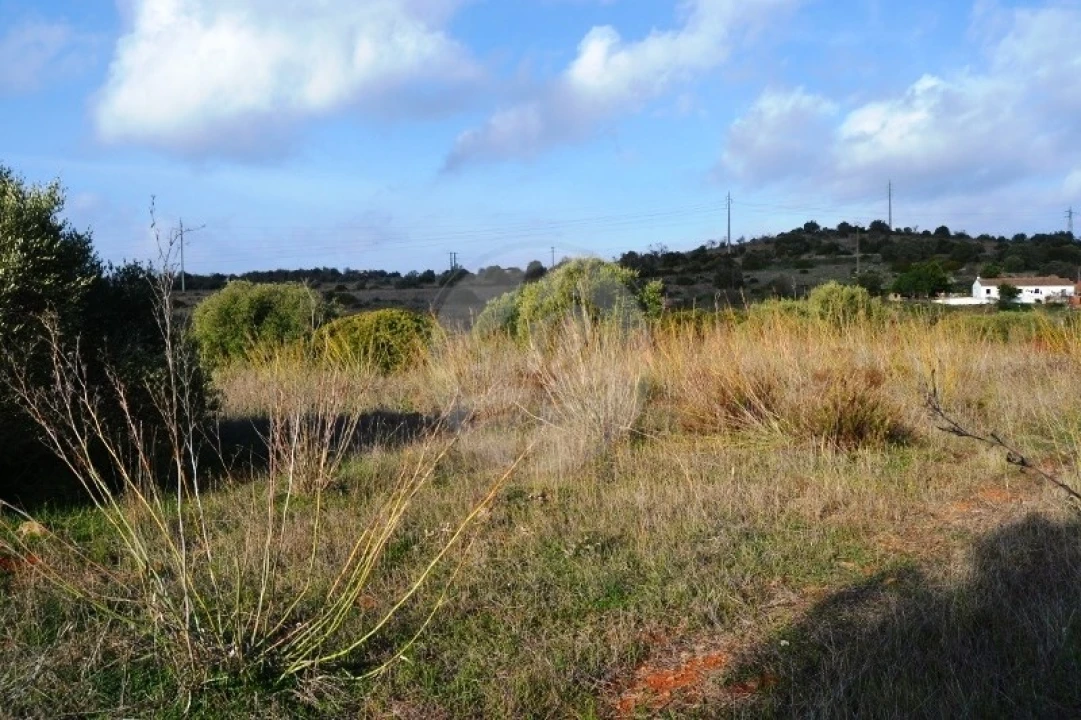 Terreno para Venda em Lagos (São Sebastião e Santa Maria) Foto 9