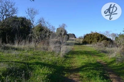 Terreno para Venda em Lagos (São Sebastião e Santa Maria)