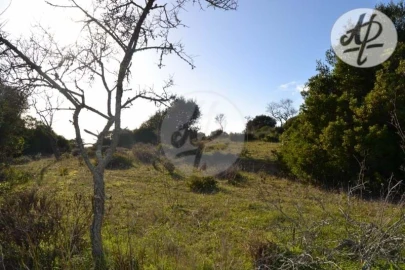 Terreno para Venda em Lagos (São Sebastião e Santa Maria)
